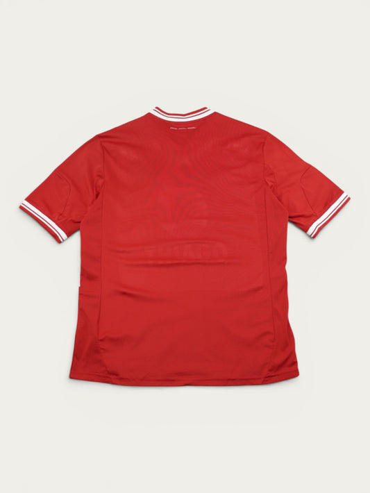 CAMISETA ADIDAS BAYERN MÜNCHEN 2013-14'
