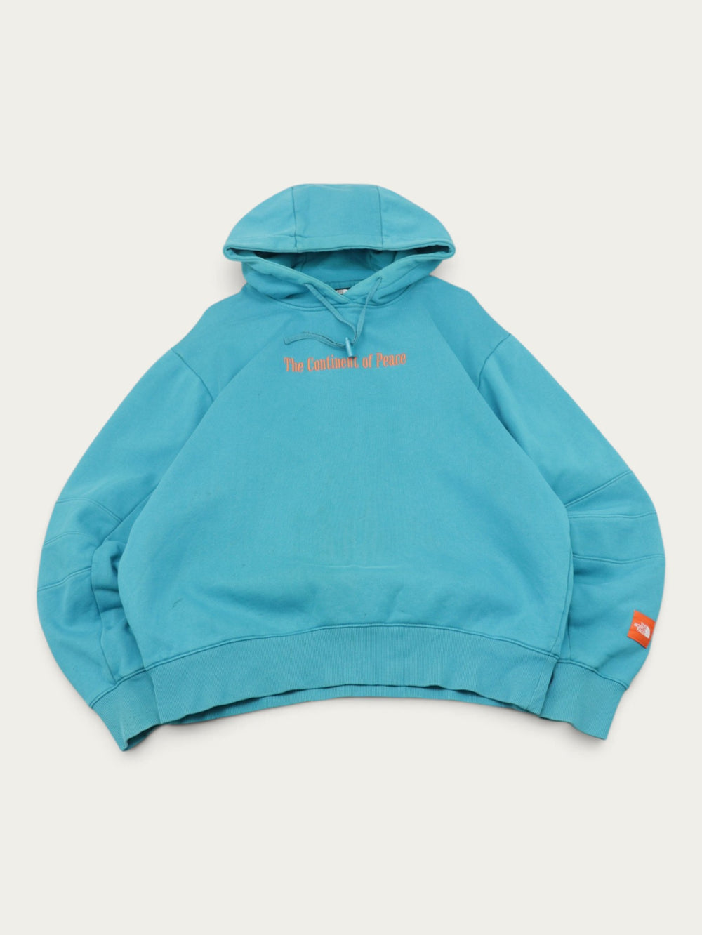 SUDADERA THE NORTH FACE VINTAGE