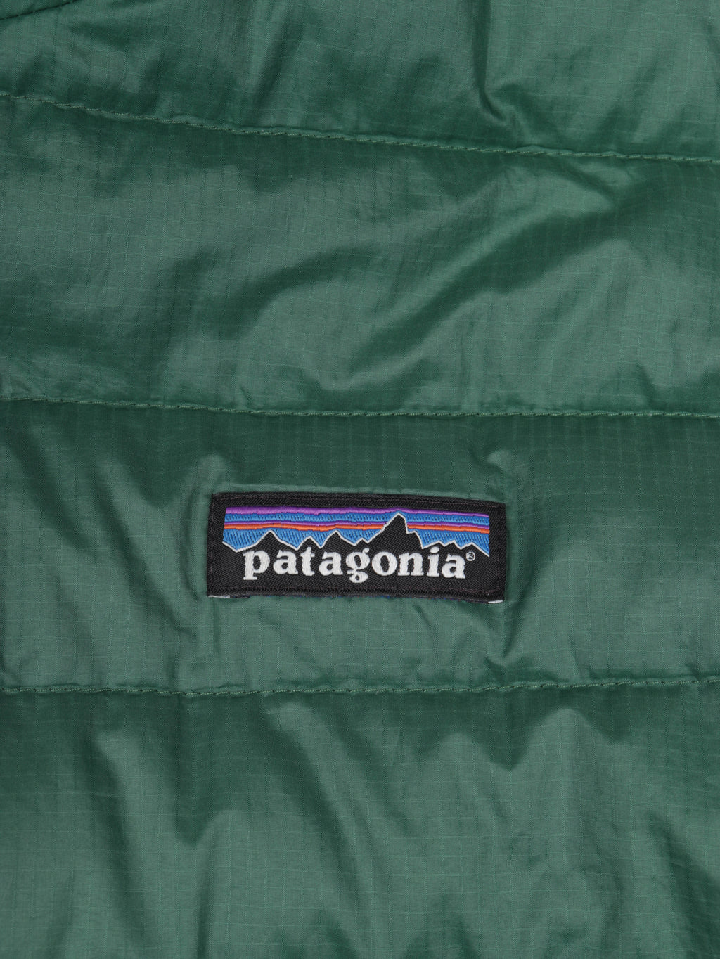 Patagonia Jacket