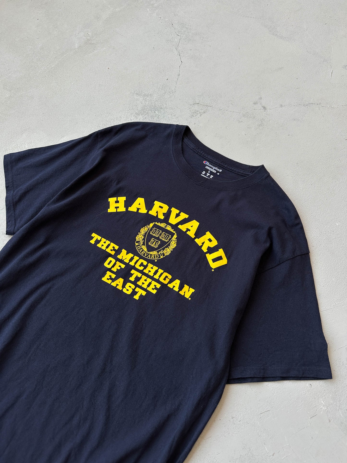 Camiseta Champion Harvard vintage 00s