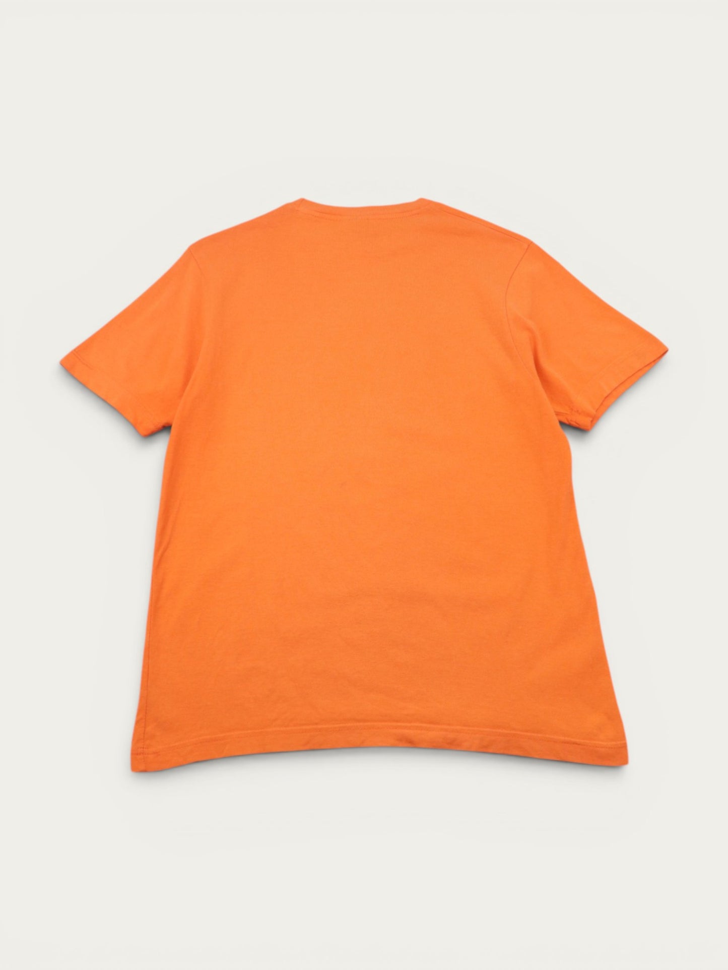 CAMISETA NIKE VINTAGE 00S