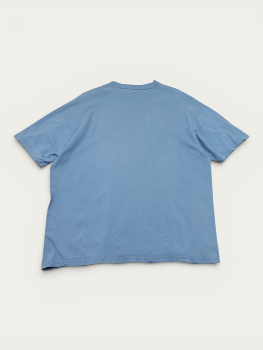 CAMISETA CHAMPION NBA VINTAGE 00S