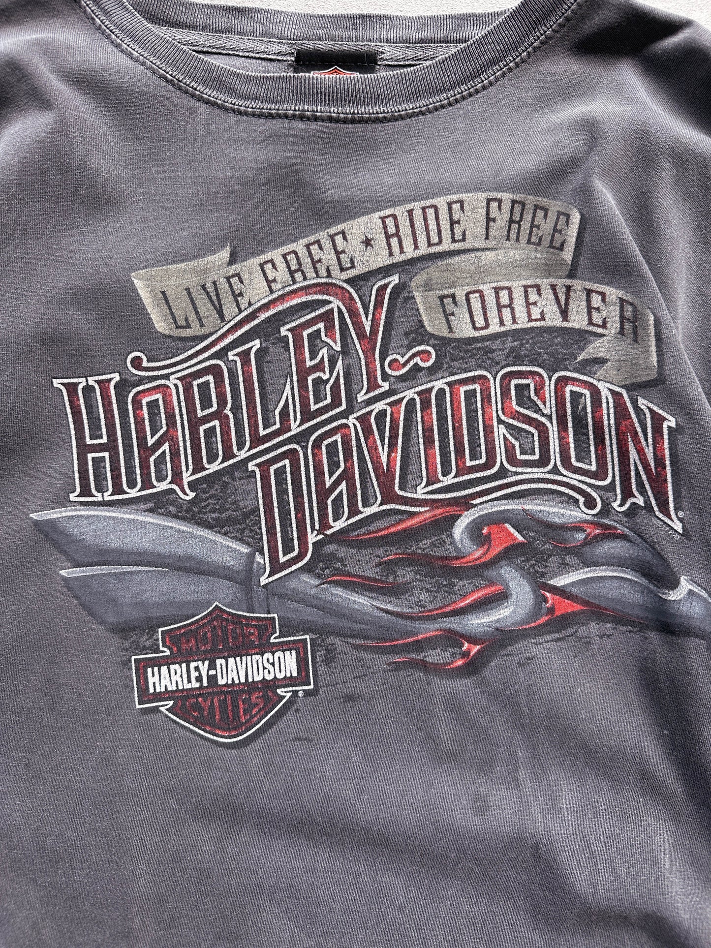 Camiseta Harley Davidson vintage