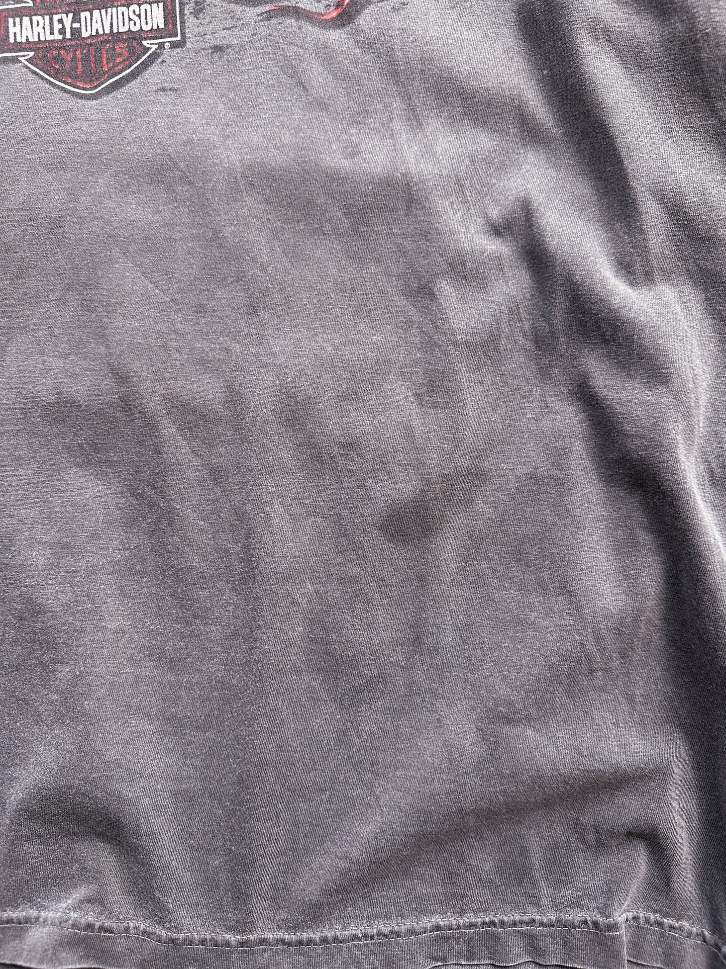 Camiseta Harley Davidson vintage